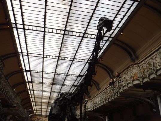 PG.Paris.Natural History Museum012